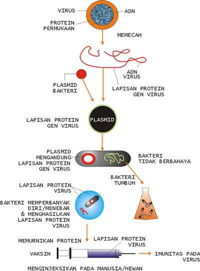 ARTIKEL BIOLOGI TENTANG BIOTEKNOLOGI