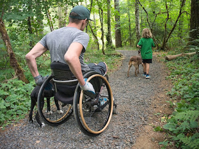 Wheelchair bound man, dog, and child on a hiking trail shown from the back photo