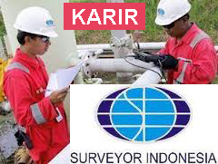 Lowongan Kerja 2013 Surveyor Indonesia 2013 Periode Januari Bidang Pemasaran Di Jakarta