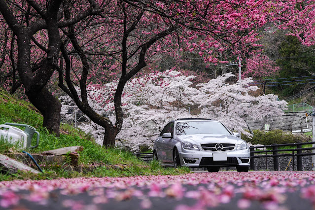 C63AMG