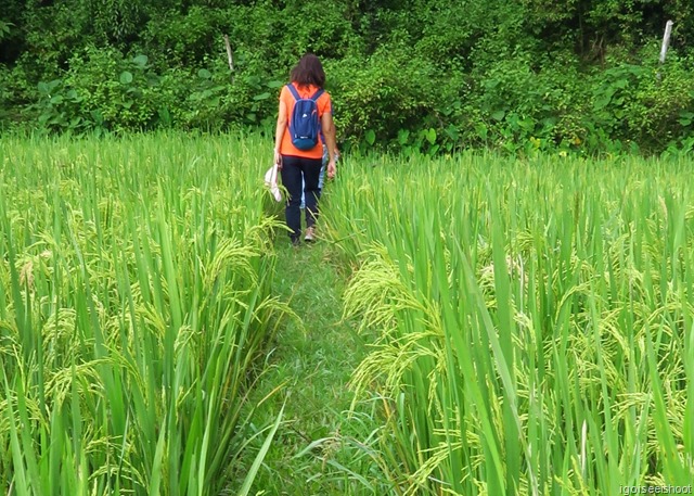 Hiking in Mai Chau, Vietnam