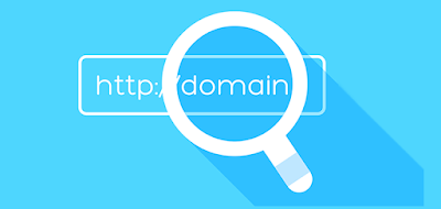 memilih domain website