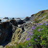 Hiking Sonoma Coast State Park : Wright S Beach Campground Sonoma Coast State Park - Sonoma county regional parks is requesting community input on its proposed plan to create a russian river access park near cloverdale.