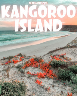 AUSTRALIAN KANGOROO ISLAND, Admission, Opening Hours, Locations And Activities [Latest]