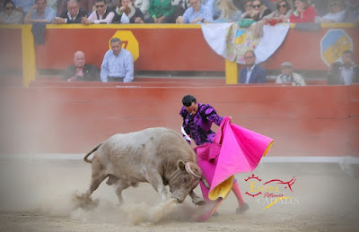 Torero Joaquín Galdós y toro Lúcumo de El Olivar en la plaza de Acho polvareda
