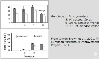 diferencia de potencial productivo Miscanthus en península y norte de Europa