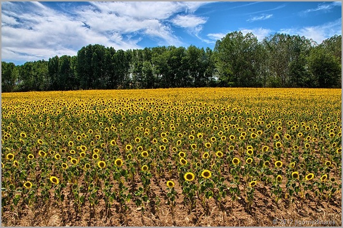 DSC_2293-HDR(3)