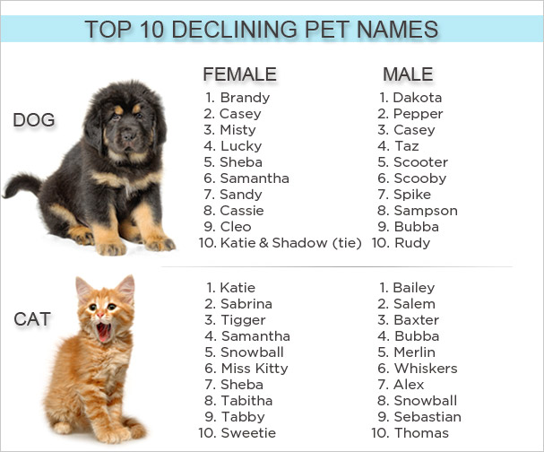 top 10 least trendy pet names