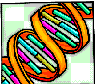 genes clip art