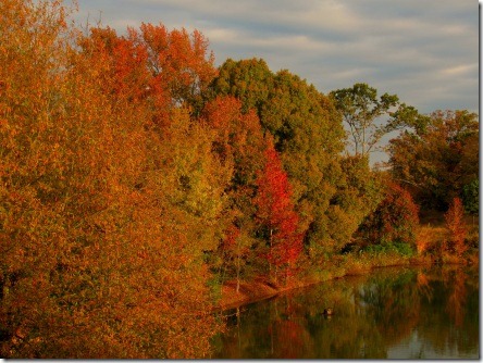 autumn_at_home