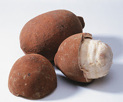 Cupuaçu has moisturizing and anti-inflammatory properties