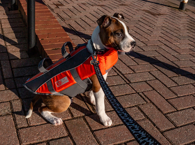 Archive photo of Ruby in her first lifejacket at three months old