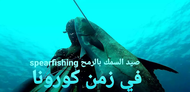  صيد السمك بالرمح spearfishing في زمن كورونا Corona | حالة خاصة