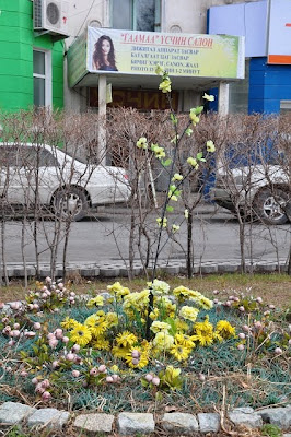 Yellow plastic flowers