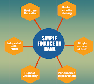 SAP Simple Finance Overview