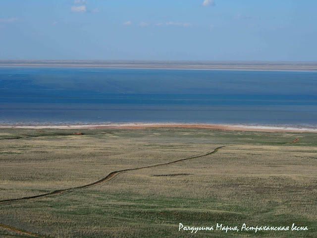 Озеро Баскунчак фото