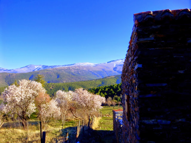 Cortijos Sierra Nevada.Jérez del Marquesado