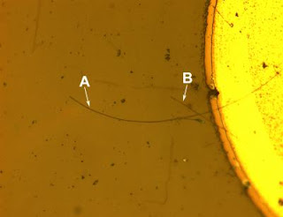 Caption: [Top] Micrograph of a complete nanowire LED with the end contact. The long nanowire (A) is about 110 micrometers long, a shorter nanowire (B) crosses it. The bright circular section is the metal post from which the nanowires are aligned. Credit: NIST, Usage Restrictions: None