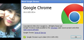 Google Chrome 18.0.1025.152 Stable Offline Installer - Andraji