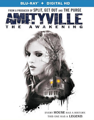 Amityville: The Awakening (2017) Dual Audio [Hindi 5.1 – Eng 5.1] 1080p & 720p & 480p BluRay ESub x264