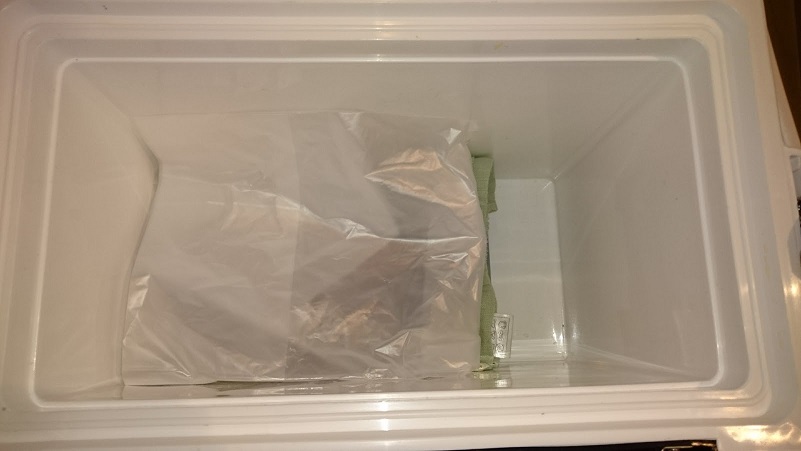 今日の備忘録 イカを鮮度良く持ち帰る方法