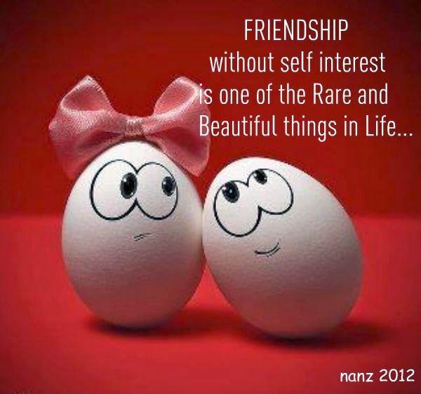 Friendship Quotes