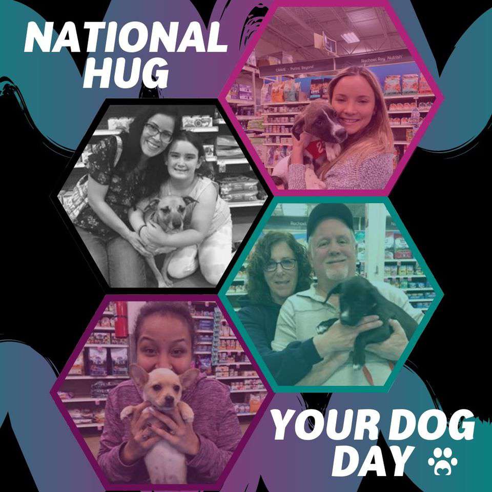 National Hug Your Dog Day Wishes Images download