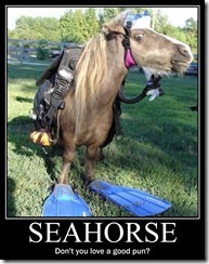 funny pics (10)