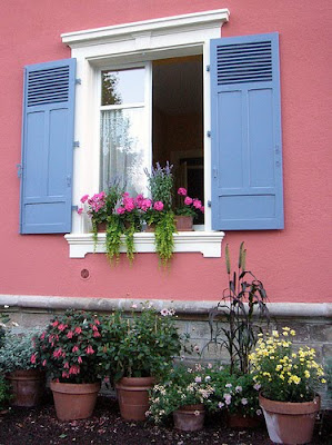 2flowers in the window of our house