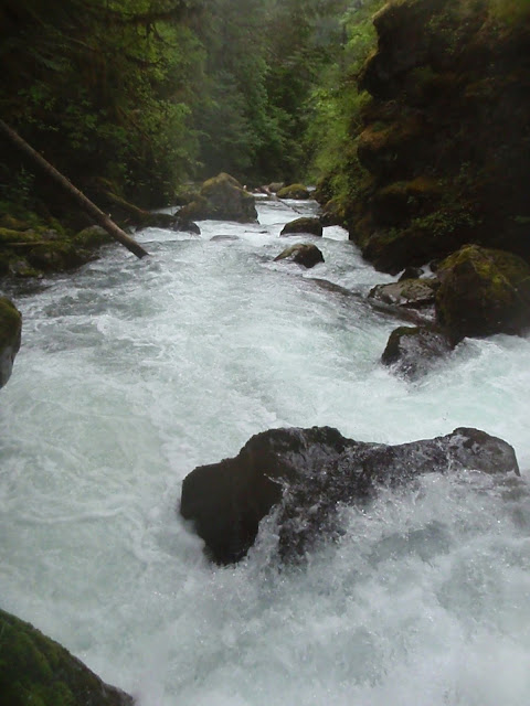 Big Quilcene - Olympic Peninsula 