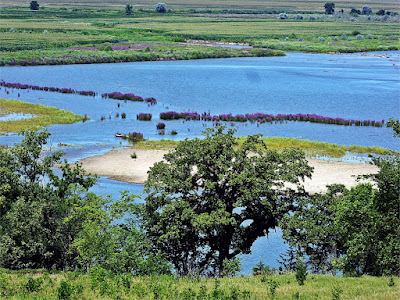 Mulberry Bend