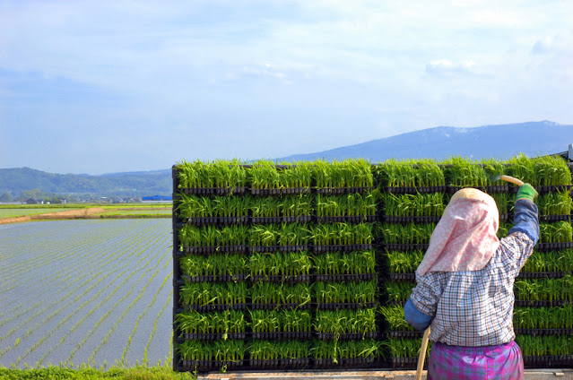 フリー写真素材