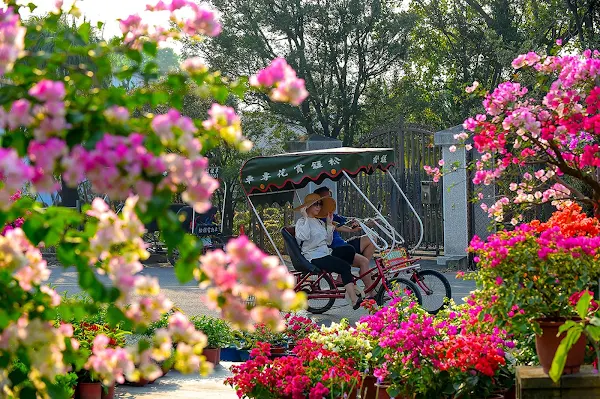 ▲暢遊彰化台灣觀光100亮點當中景點之一「田尾公路花園」。（彰化縣政府提供）