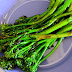 Broccolini Health Benefits For Nutrition and Diet