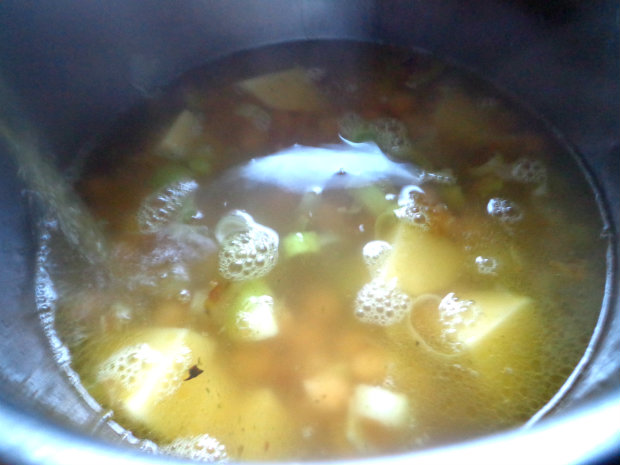 Cover with the boiling broth