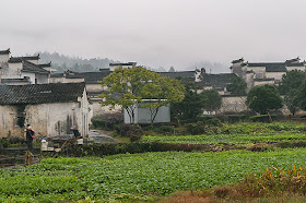 Maisons et champs cultivés à Xidi