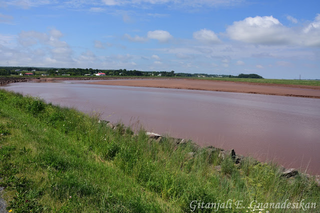 Bright blue sky in the background, bright green grass in the foreground, and the deep red clay of the river bed cutting through the middle, with the river running normally.