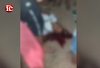 Jovem de 21 anos é executado a tiros  durante vaquejada em Chapadinha-MA