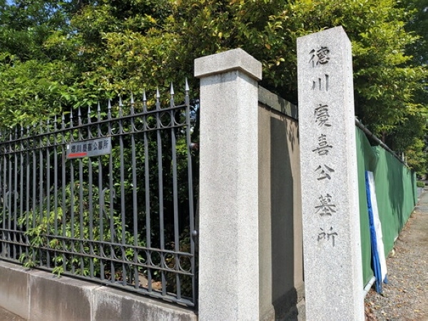 直衝青天｜青天を衝け