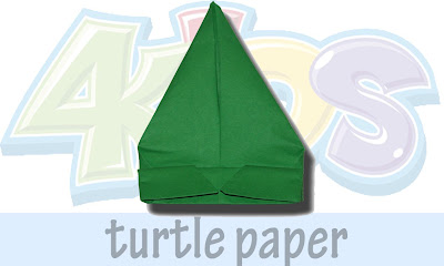  turtle paper 7
