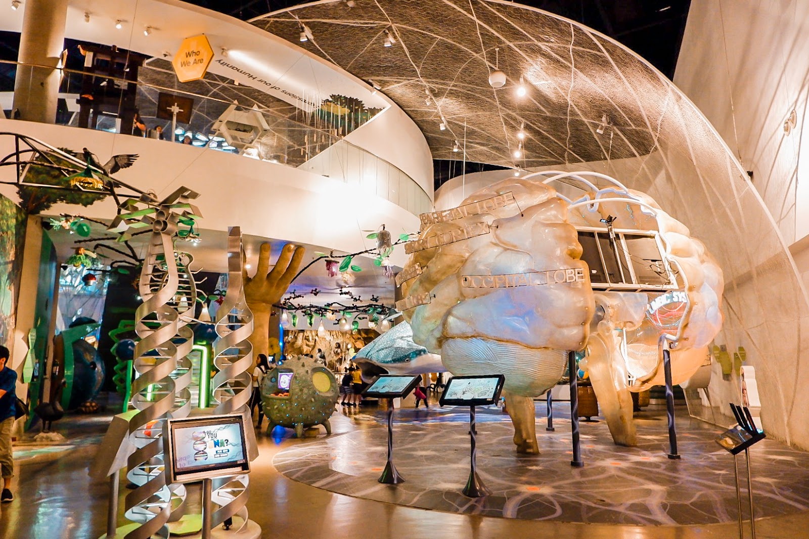 Experience Science Come Alive at The Mind Museum