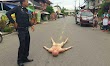 Heartbroken man who went 'crazy' after splitting from his wife found naked and crying in the middle of a road