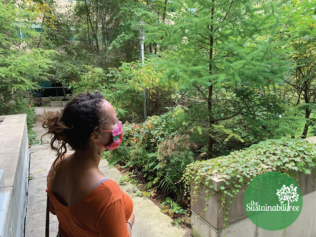 Woman looks at simulated Boreal forest at uOttawa