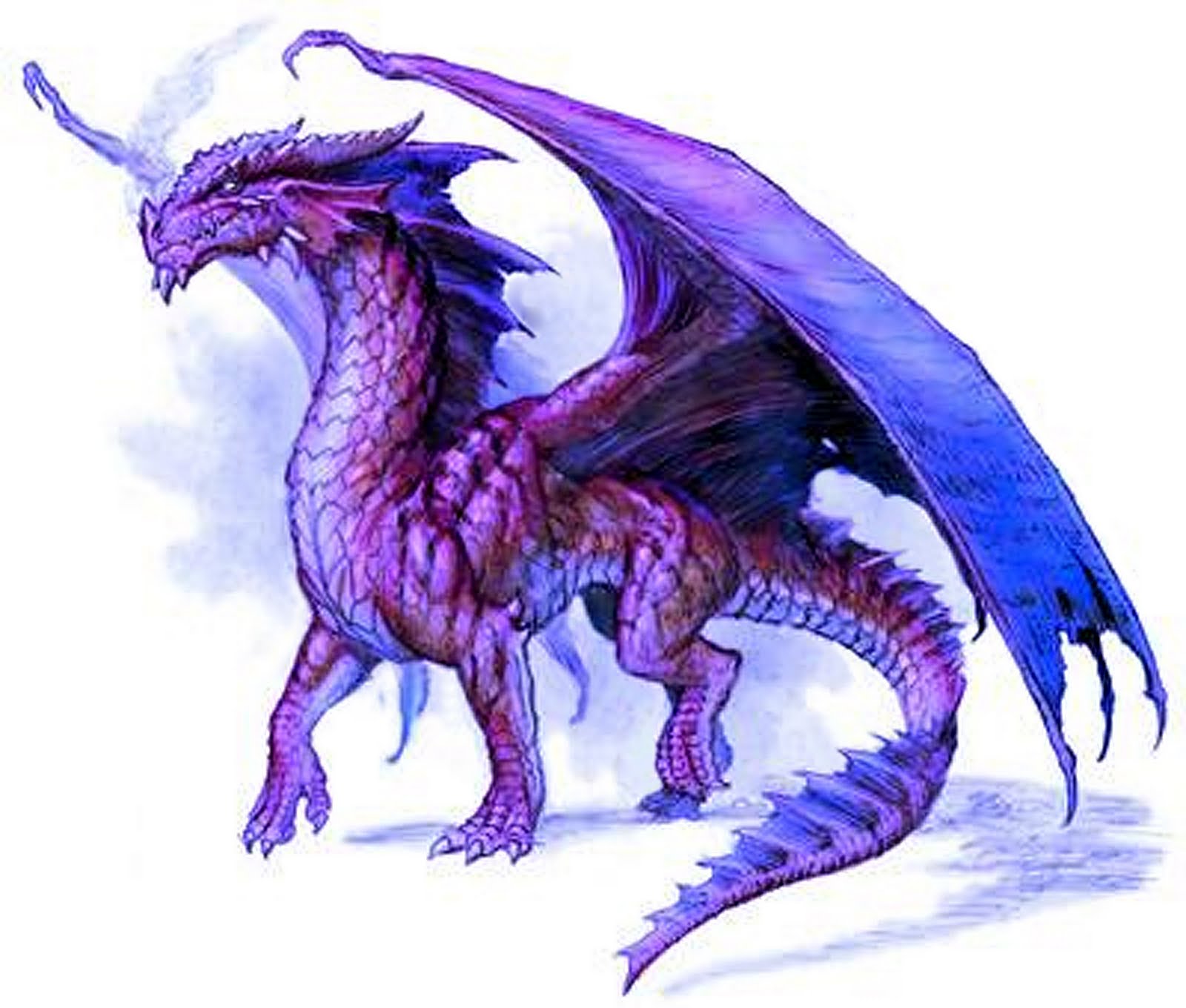 purple-dragon,fantasy, epic, animal, myth, how-to-train-your-dragon-3d-movie-review-blog-trailer,Dragon HD Wallpaper