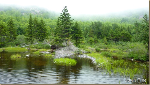 Bubble rock and Jordon pond_139