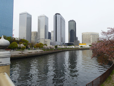 大阪ビジネスパーク、大川沿いの桜