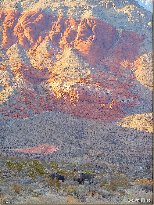 calico basin walk _067