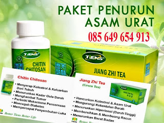 OBAT HERBAL DISTRIBUTOR MALANG: OBAT HERBAL LUKA LAMBUNG 