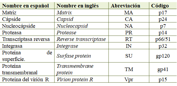 Proteínas estructurales del VIH con los dos tipos de código empleados.