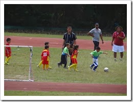JDSC-FB20